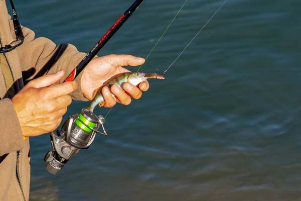 Rekomendasi Spot Mancing Terbaik di Dunia
