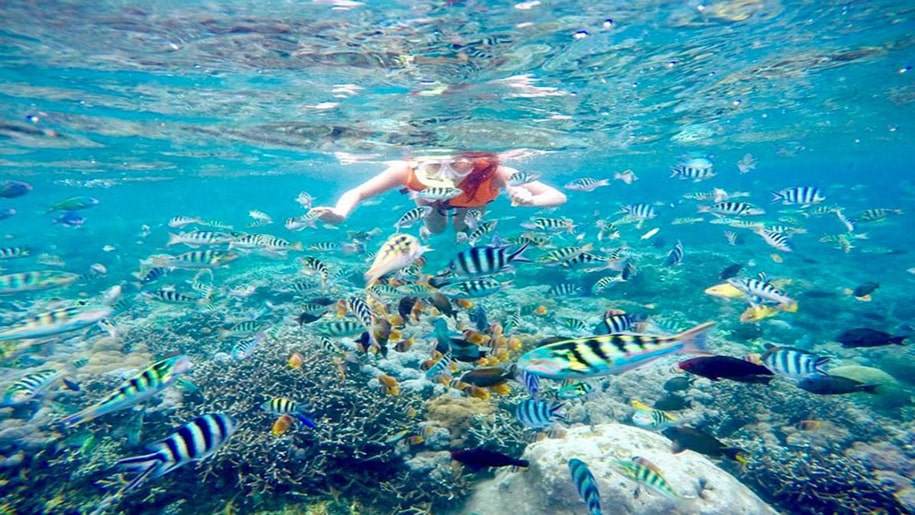 Rekomendasi Spot Snorkeling Terbaik di Indonesia